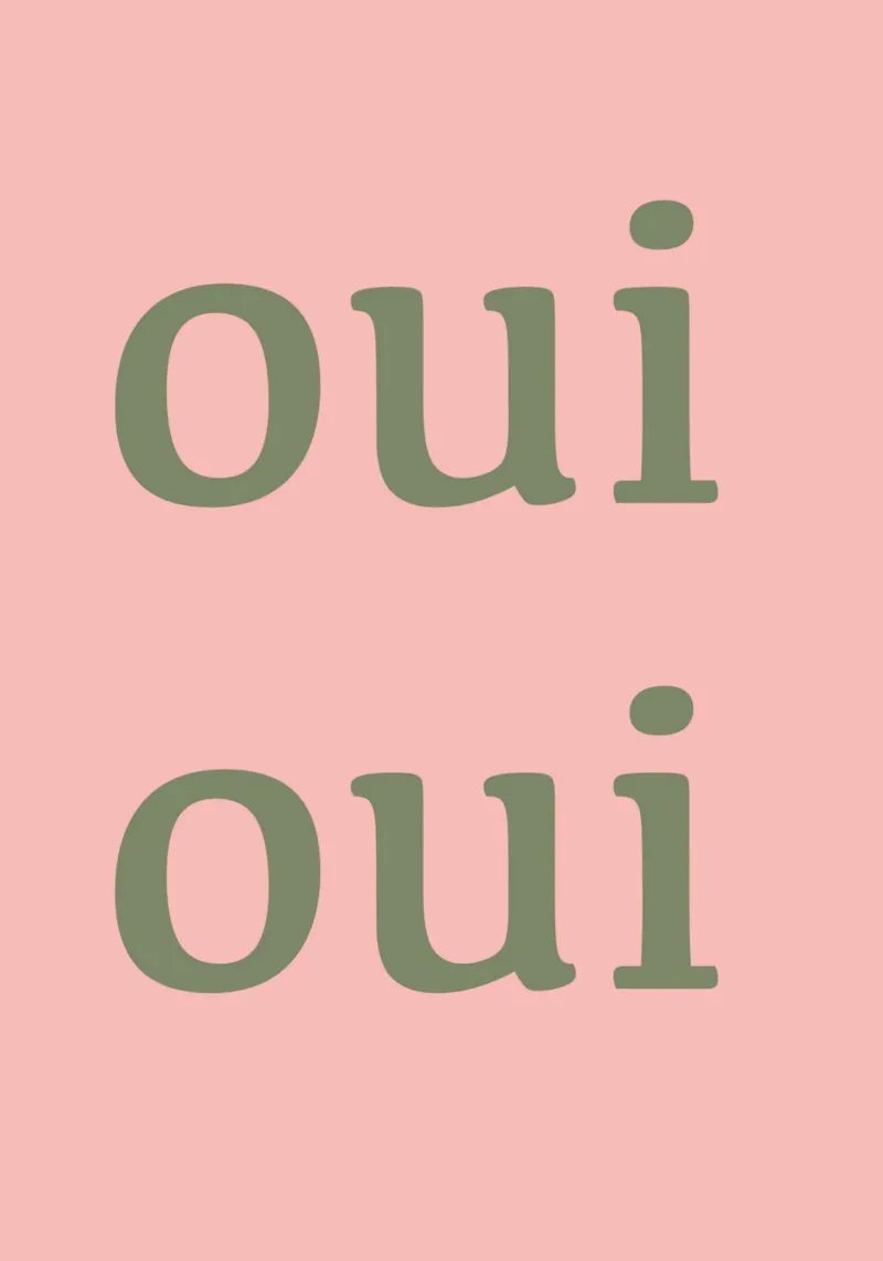 Oui Oui Frans typografisch ontwerp canvas van Proper job studio