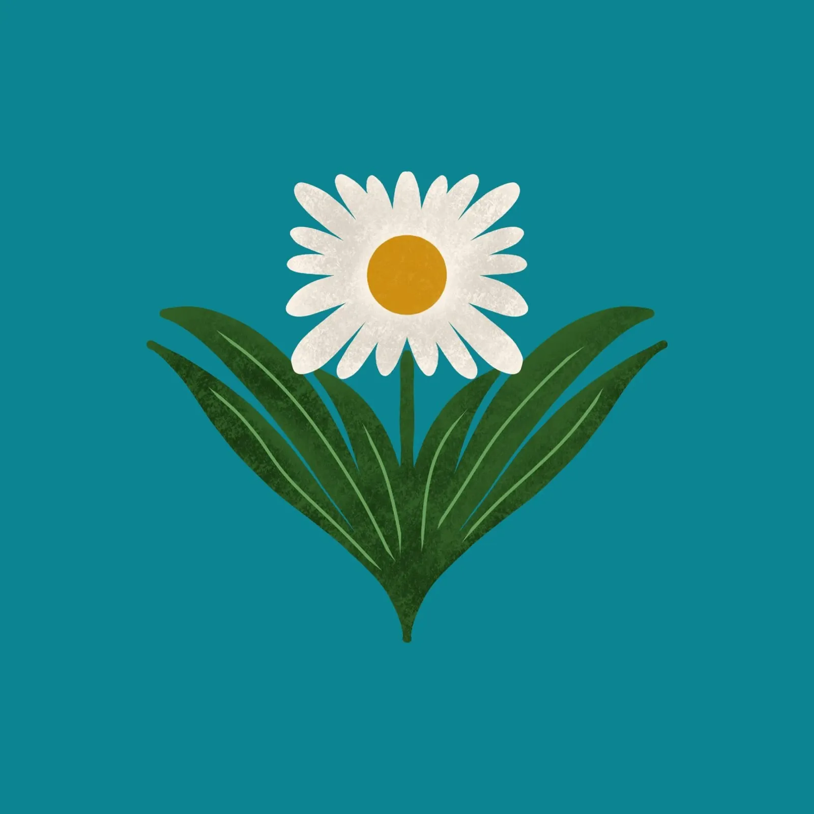 Margherita floreale retrò anni '70 su verde acqua - Mod Flower tela con Cornice a cassetta da susanacosta