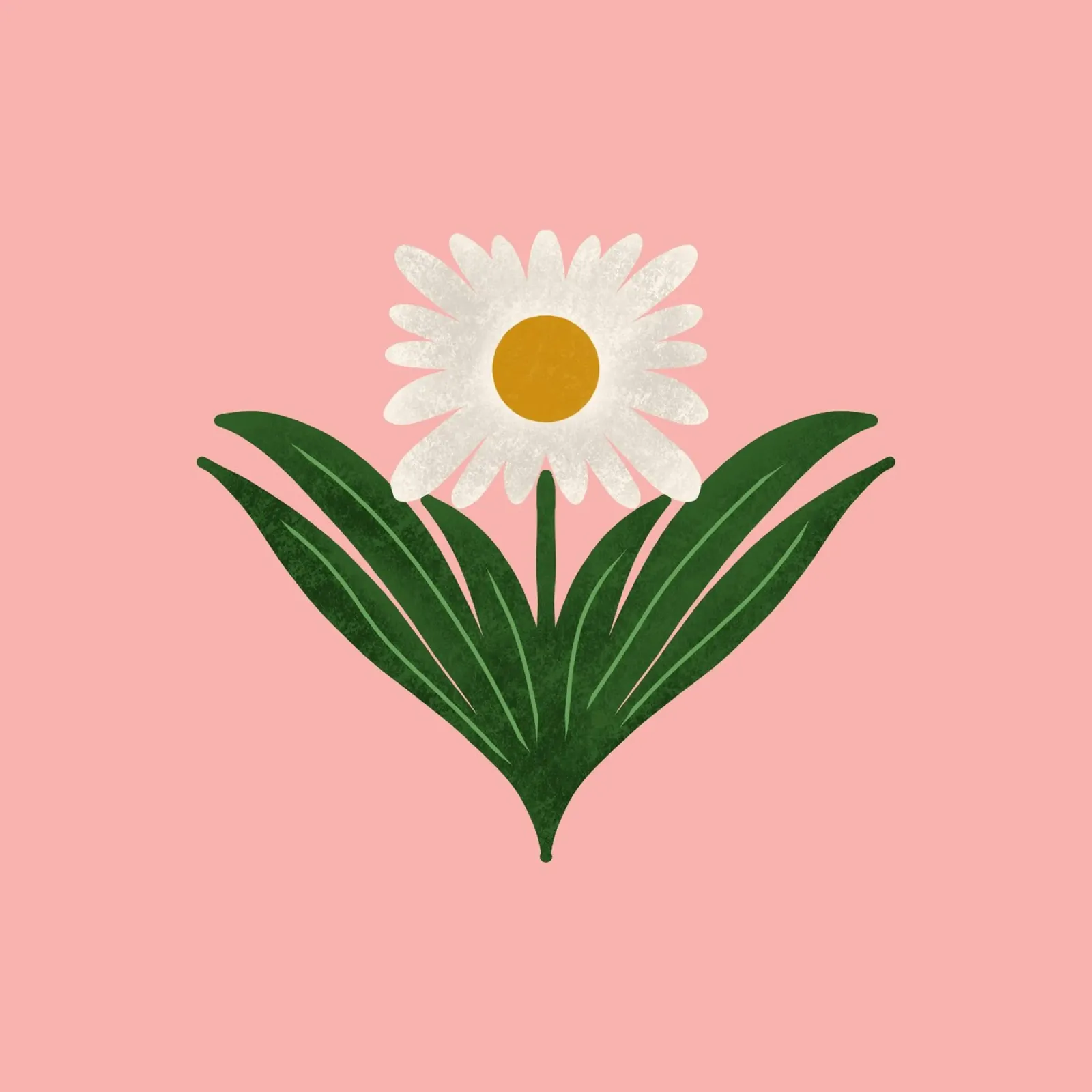 Margherita floreale retrò anni '70 su rosa - Mod Flower poster con telaio in legno da susanacosta