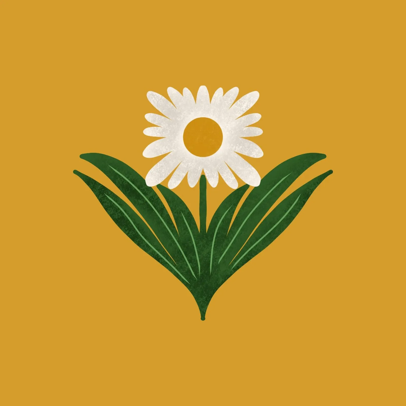 Margherita floreale retrò anni '70 su giallo - Mod Flower poster con telaio in alluminio da susanacosta