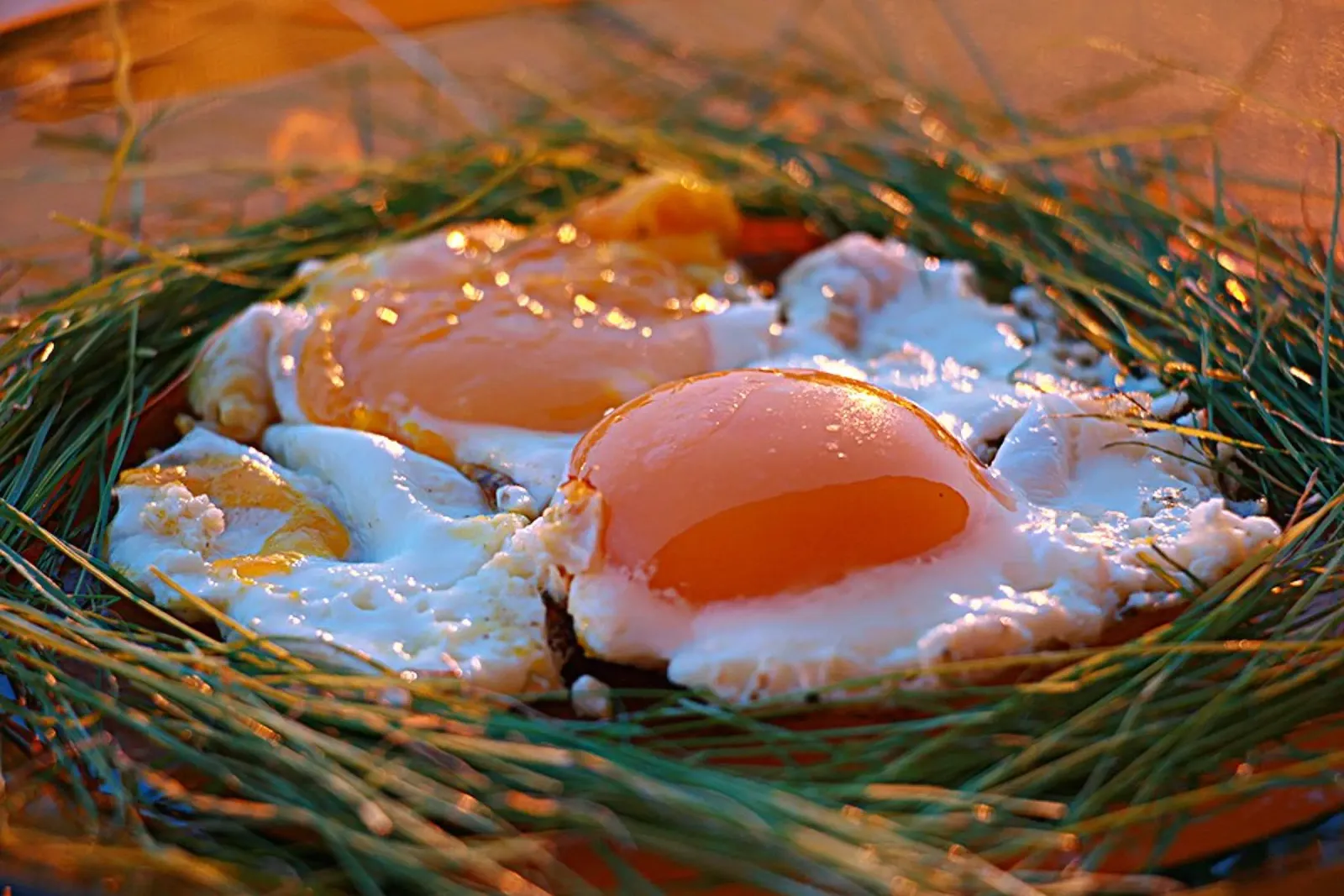 Sunny Side Up Eggs in a Nest - Bodegón Artístico lienzo con Marco flotante de jay
