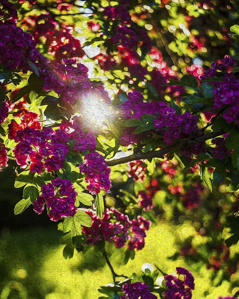 Rozenhemel & Diamond Sunlight - Olieverfschilderij Fine Art Print canvas met Baklijst van jay