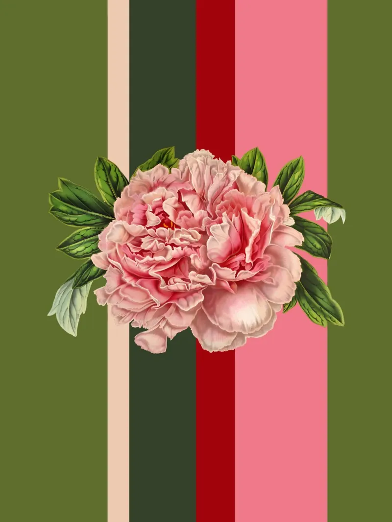 Belle Botanica 7 Pfingstrose tela con Cornice a cassetta da superprint