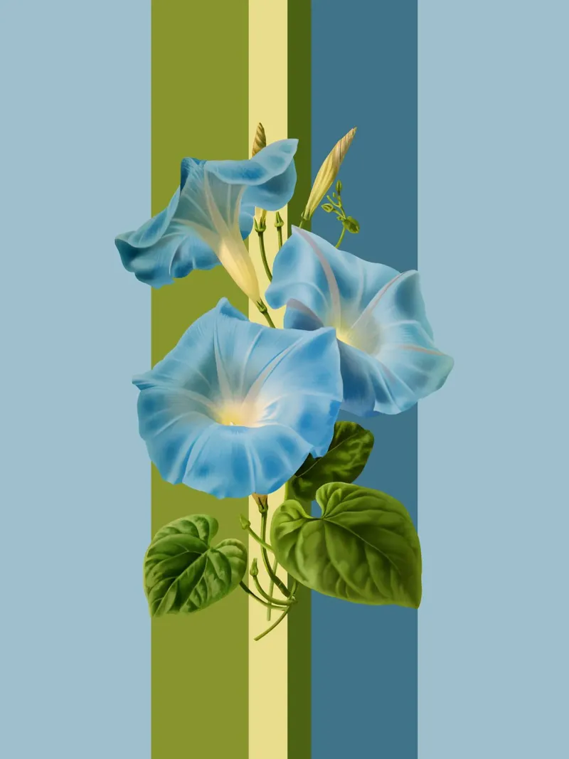 Belle Botanica 8 Winde poster da superprint