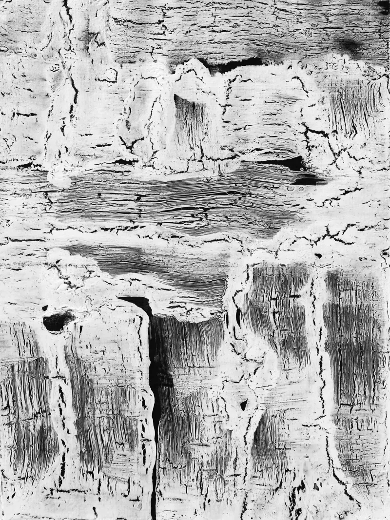 Abstract Artwork Greyscale #2 lienzo con Marco flotante de kathrinmay