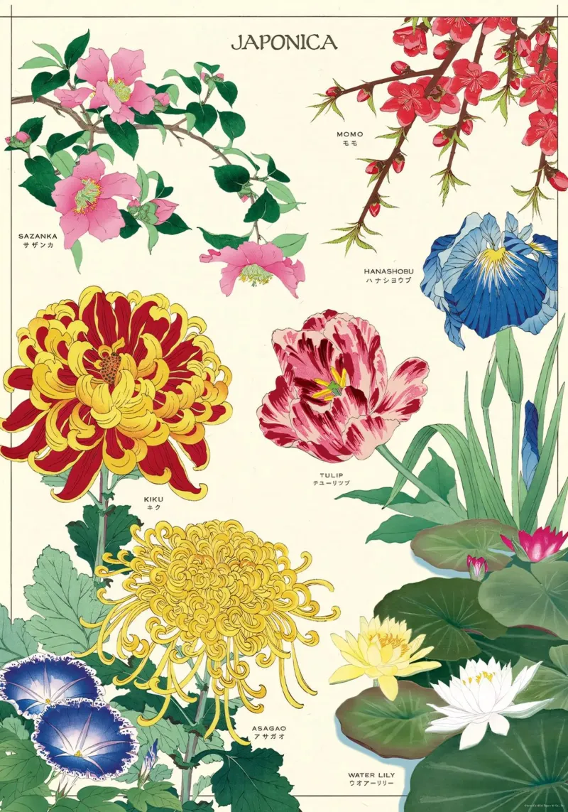 Arte murale con fiori botanici di Japonica vintage poster da Graham Robertson