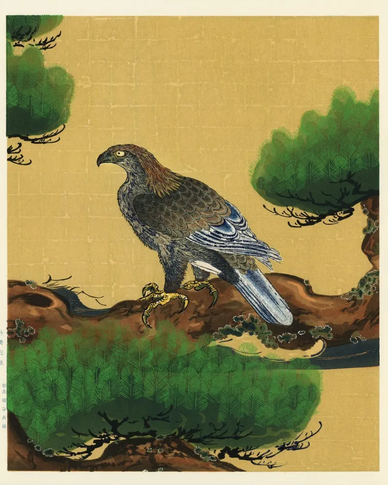 Pine and Eagle canvas with Floater frame by vintageshop