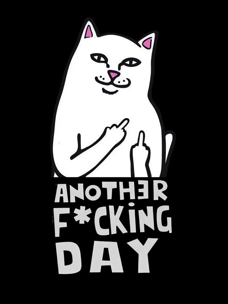 Sassy Cat – Another F*cking Day poster by Arjun