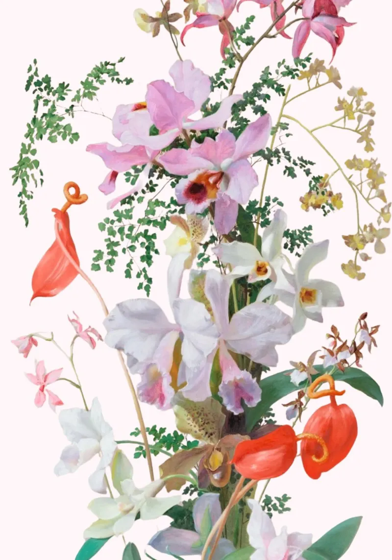 Illustrazione botanica Orchidea e Felce - Rosa poster con telaio in plastica da vintagepod