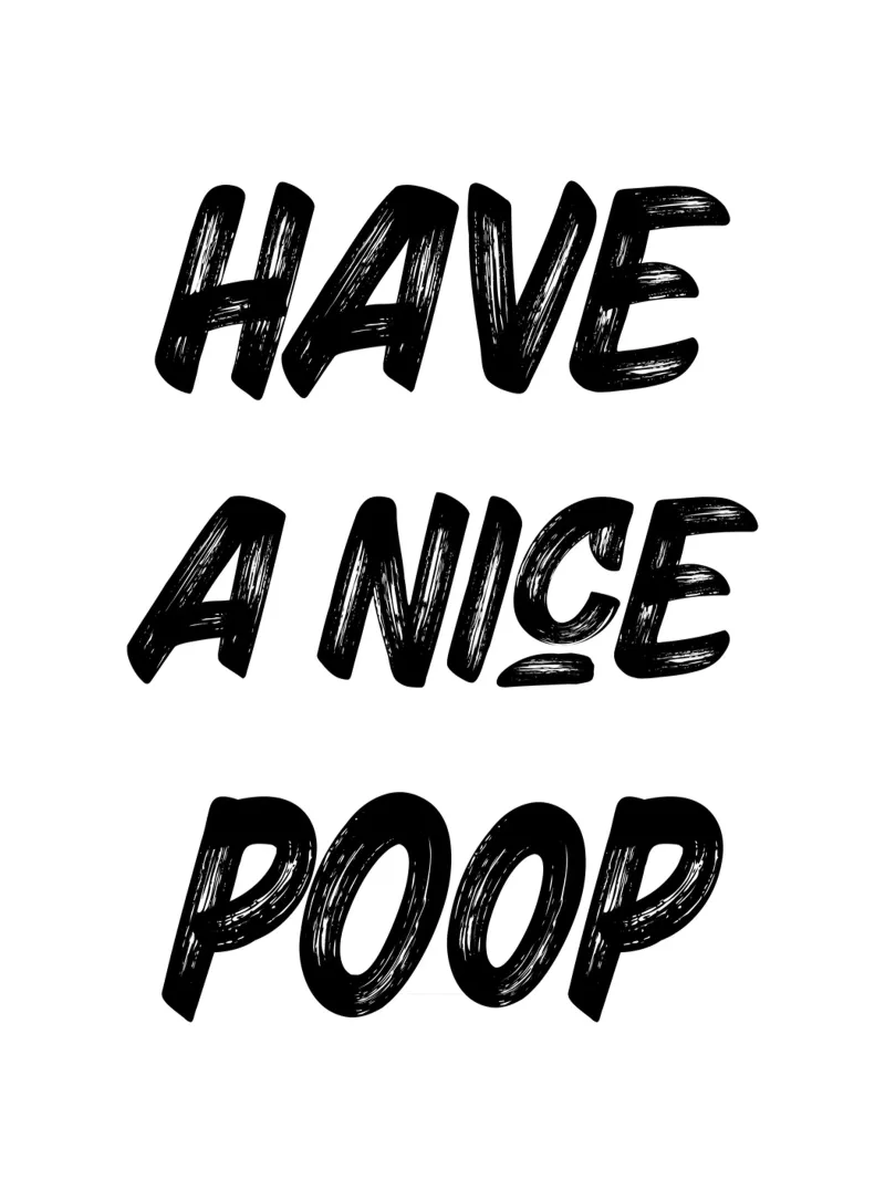Have a nice poop Leinwand mit Schattenfugenrahmen von PinkCandyWalls