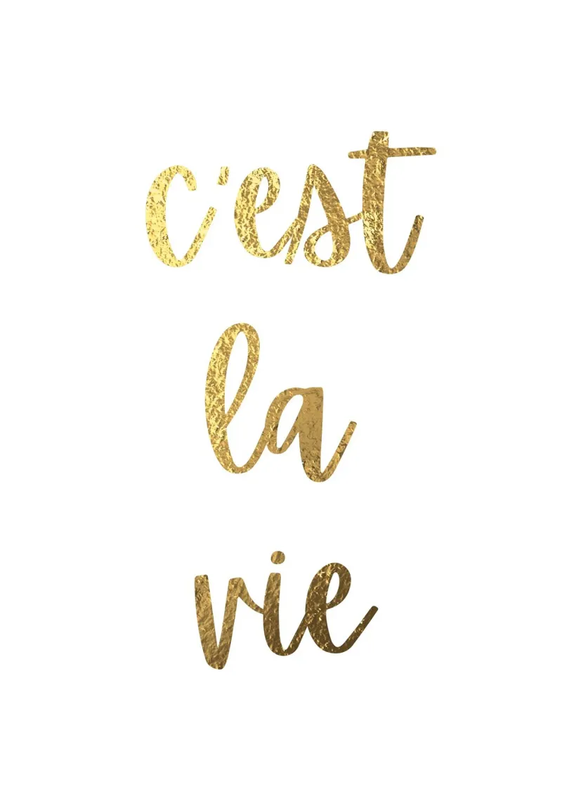 C'est la vie canvas with Floater frame by PinkCandyWalls