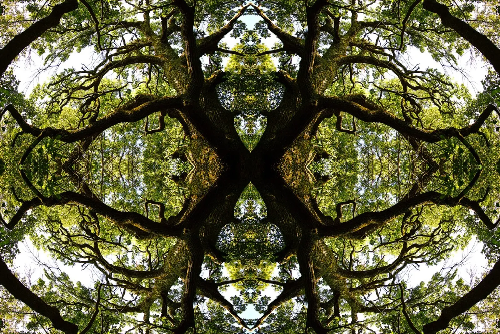 Oorsprong, Het groene portaal - Abstracte kunstdruk poster met aluminium frame van jay