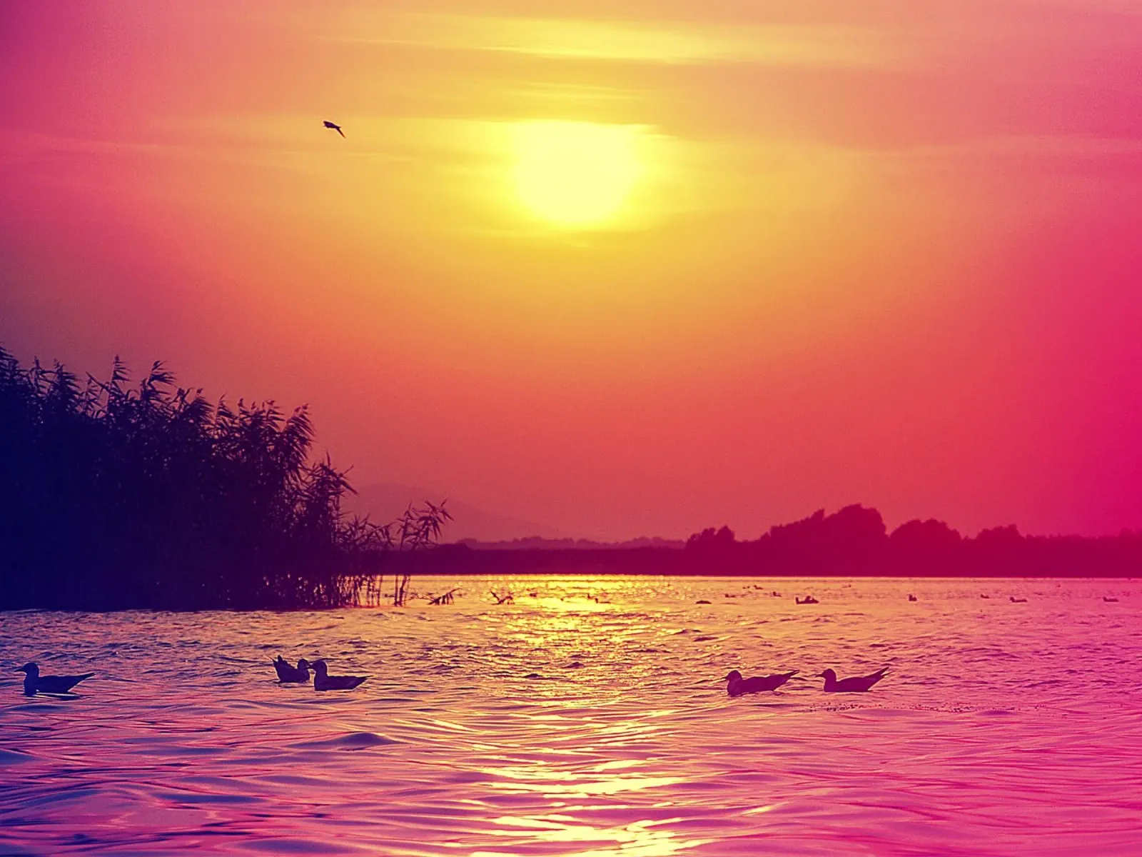 Zomerdroom - Delta Zonsondergang Print canvas met Baklijst van jay