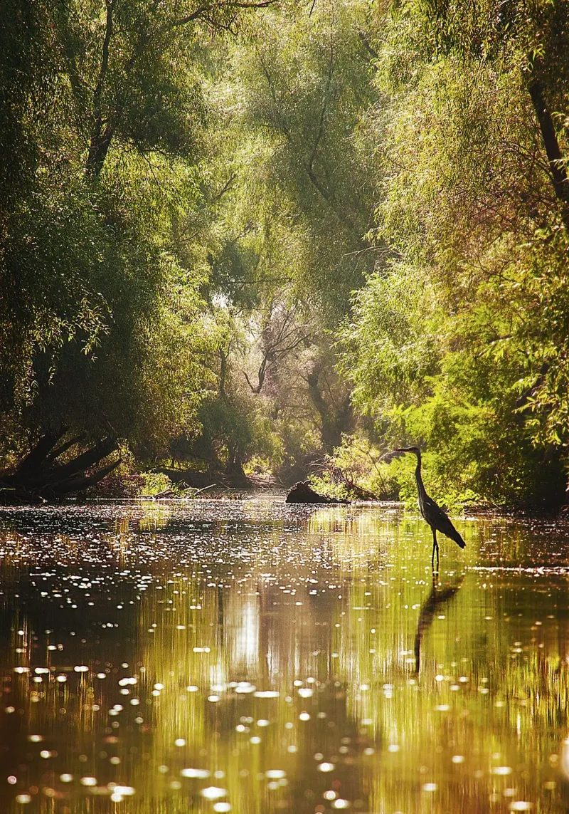 Enter the Unknown – Delta Canal Fine Art Print poster by jay