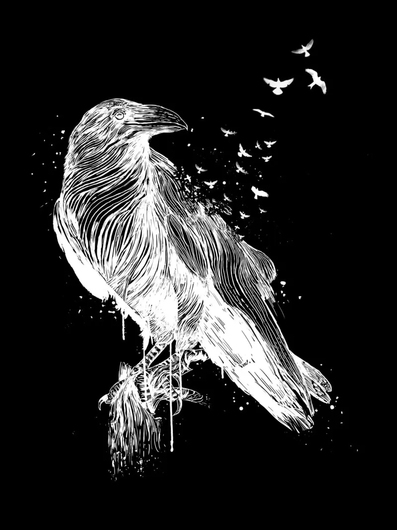Born to be free II carta hahnemühle da Balazs Solti