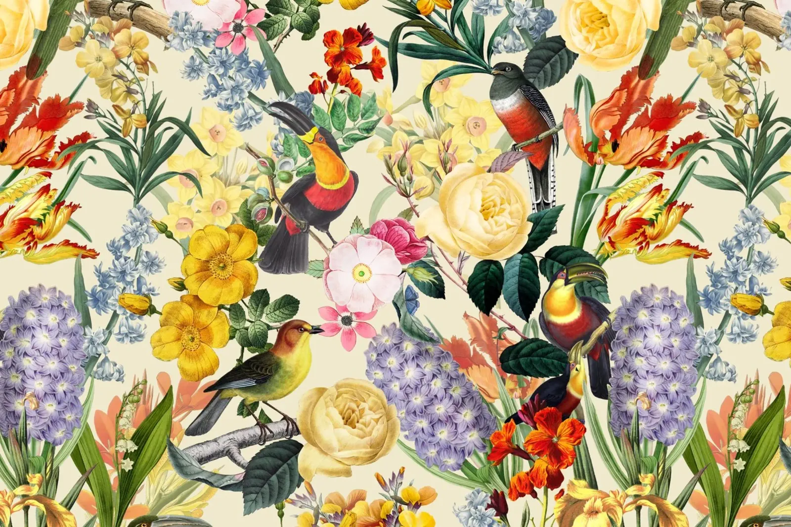 Uccelli tropicali vintage con rose tulipani e fiori di primavera poster da Vintage World - Uta Naumann