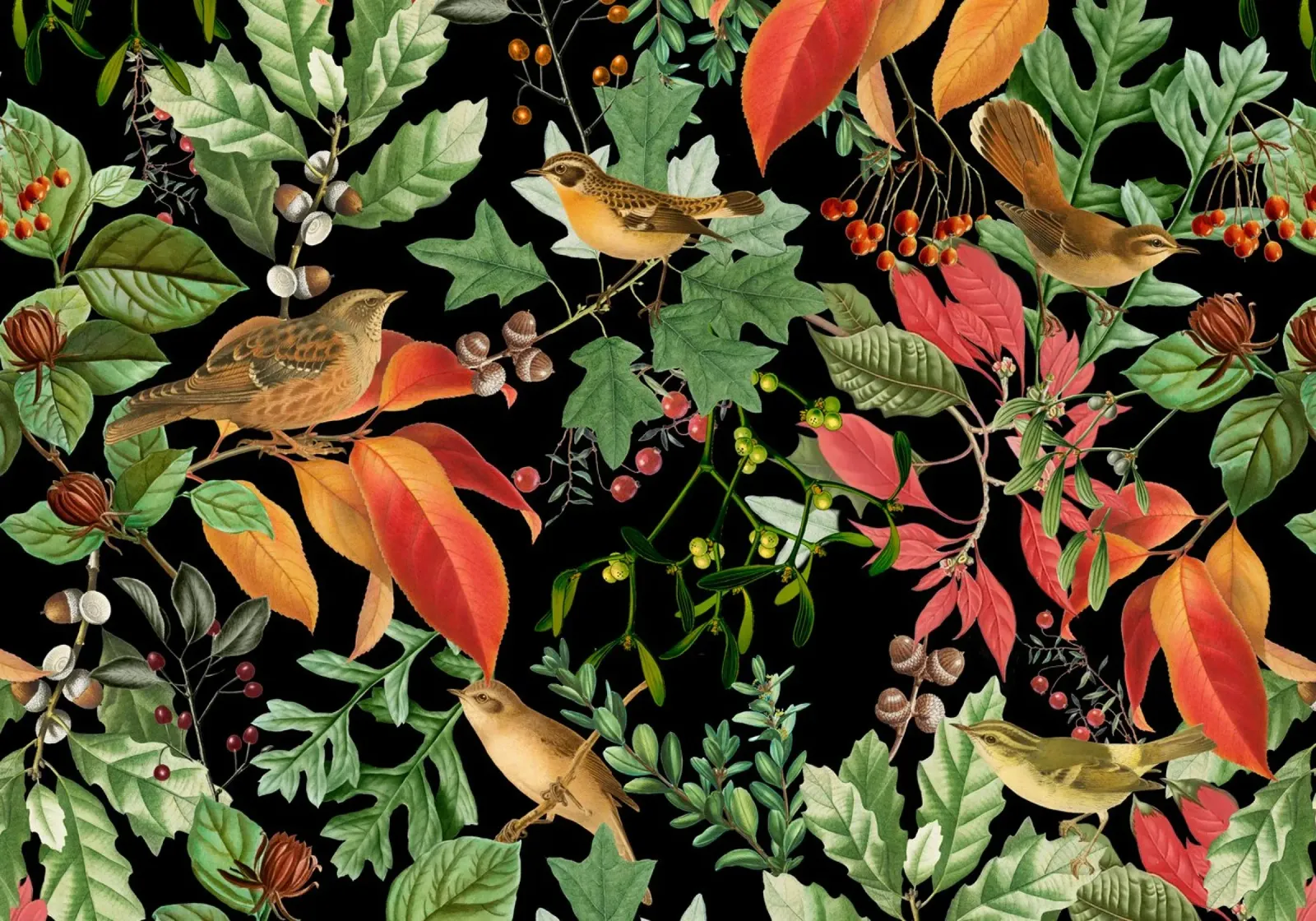 Notte della Foresta Oscura con Uccelli Foglie d'Autunno e Bosco Berr poster da Vintage World - Uta Naumann