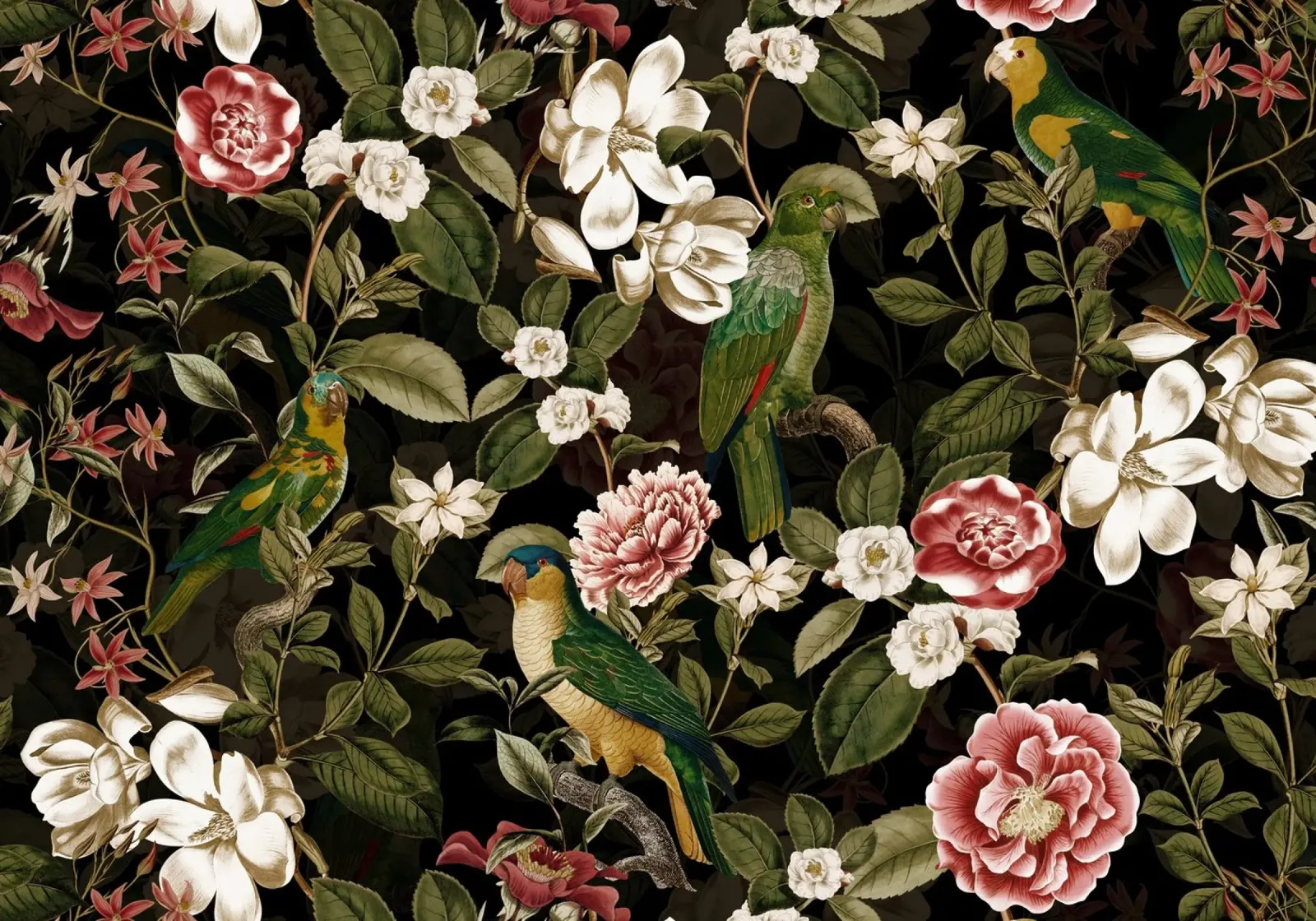 Pappagalli tropicali scuri con camelie, magnolie e rose tela con Cornice a cassetta da Vintage World - Uta Naumann