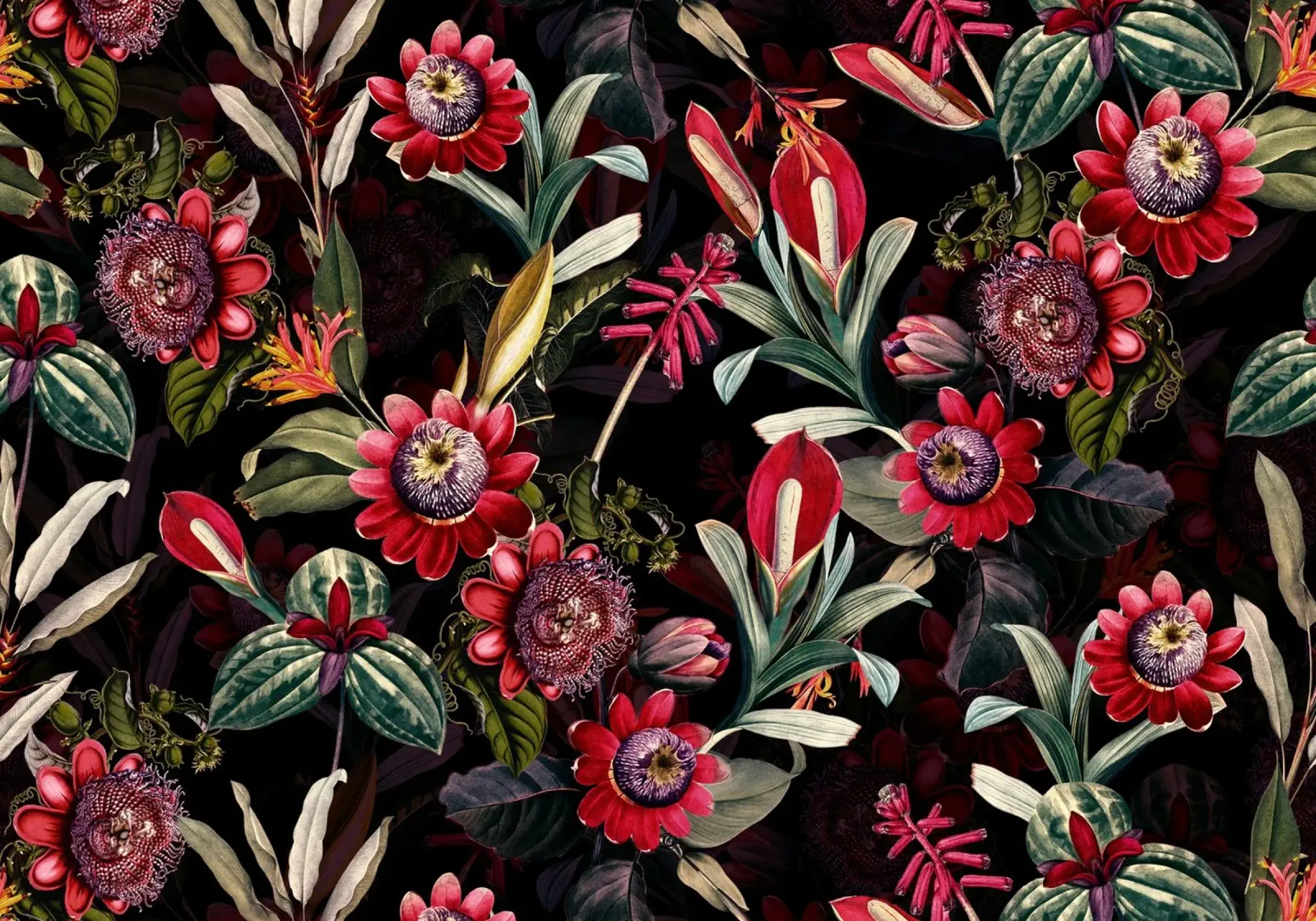 Passiflore gotiche scure con giardino notturno tropicale esotico poster con telaio in legno da Vintage World - Uta Naumann