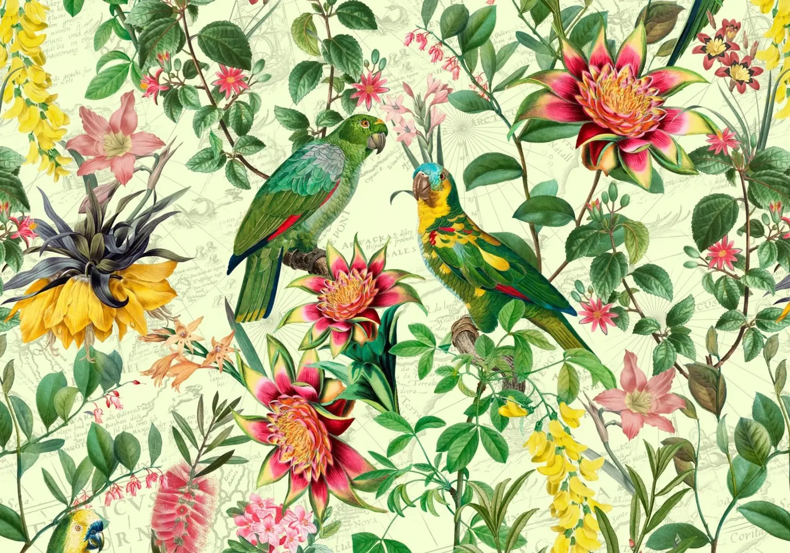 Pappagalli esotici tropicali con passiflore e fiori della giungla tela con Cornice a cassetta da Vintage World - Uta Naumann