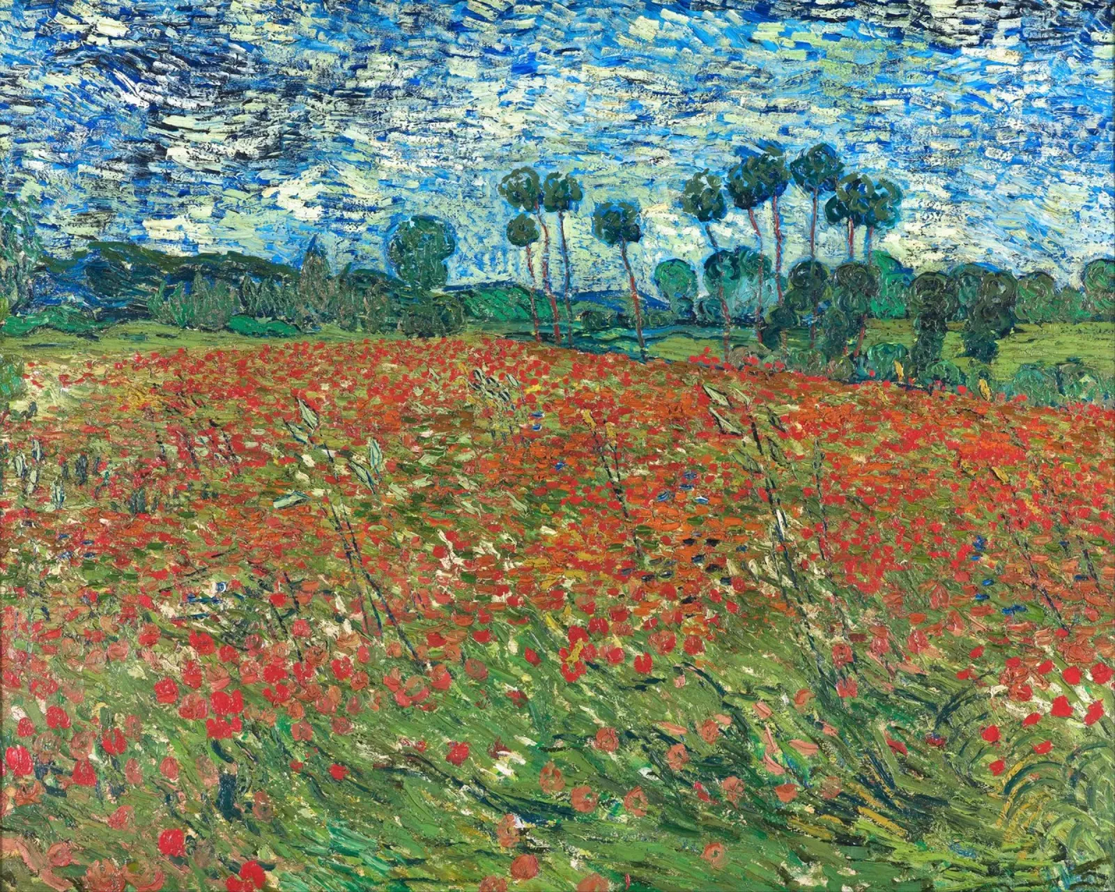 Poppy Field 1890 - Van Gogh tela con Cornice a cassetta da apoloprints