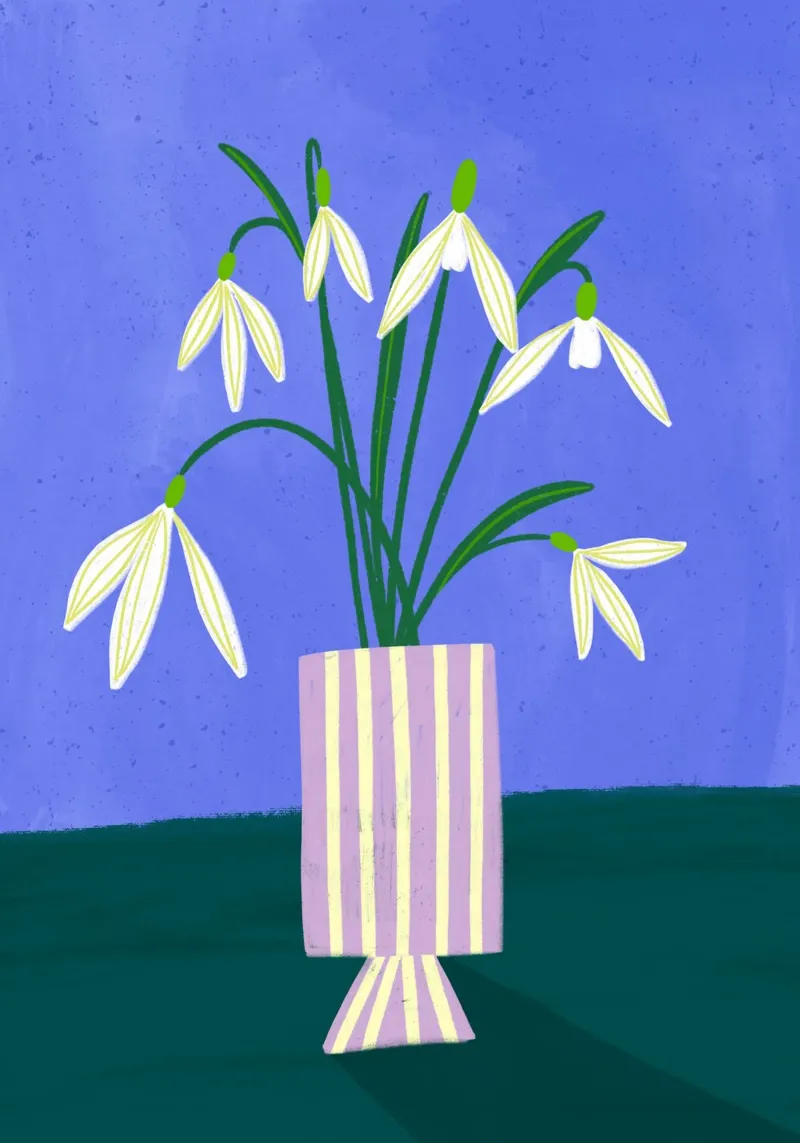 Snowdrops tela con Cornice a cassetta da Bea Mueller