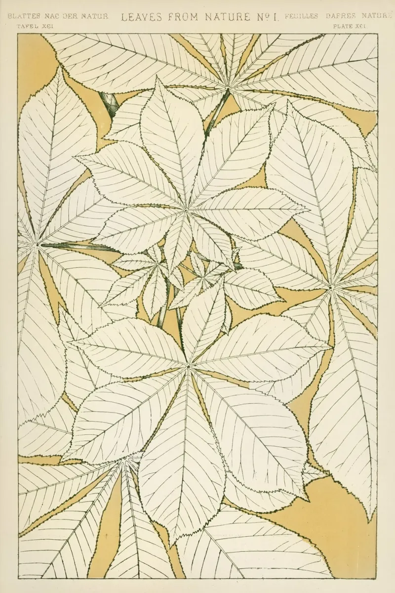Vintage pattern illustration poster con telaio in legno da vintageshop