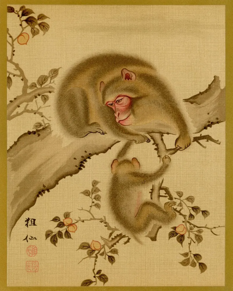 Baby monkey and mother pellicola backlit da vintageshop