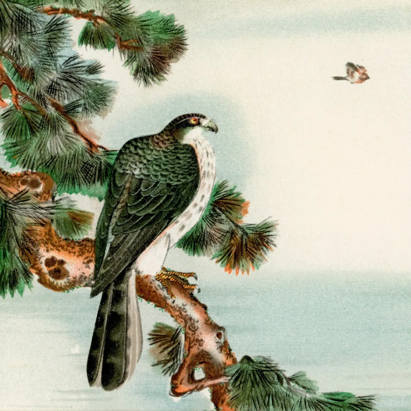 Bird  vintage Japanese tela con Cornice a cassetta da vintageshop