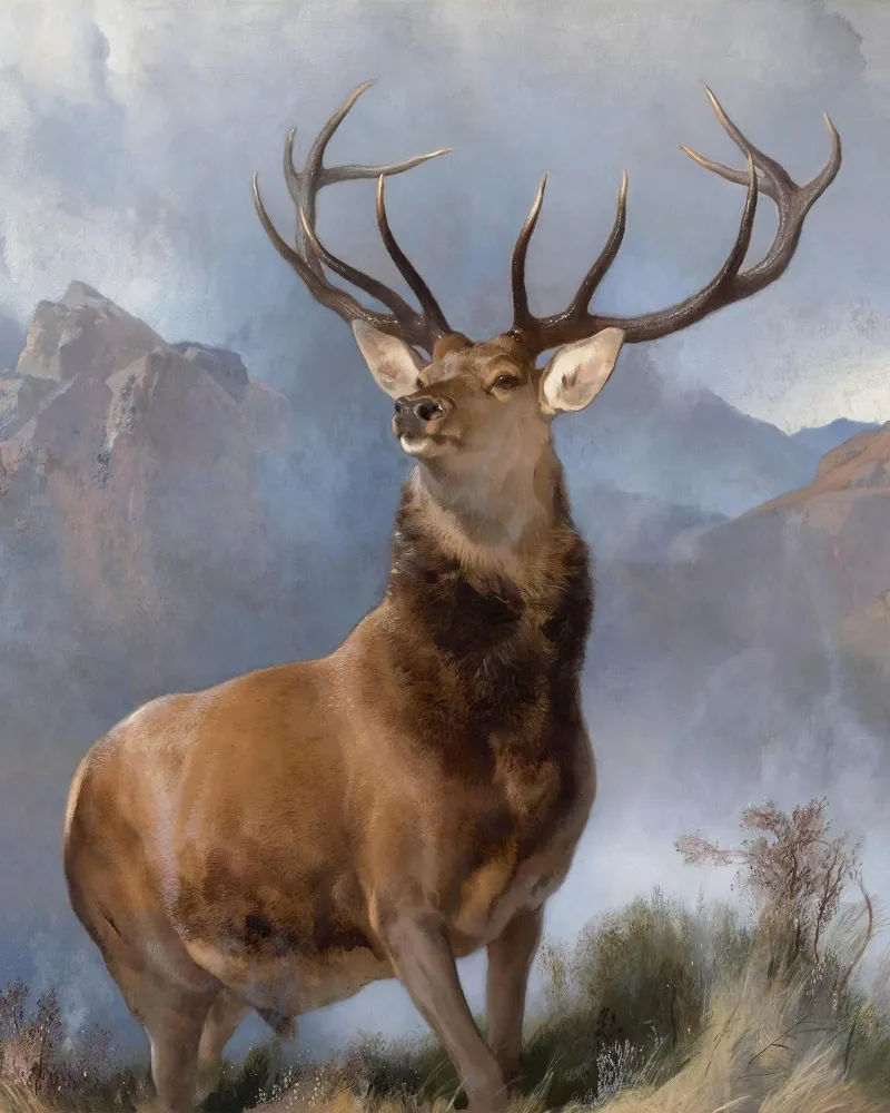 Red Deer, The Monarch of the Glen poster de apoloprints