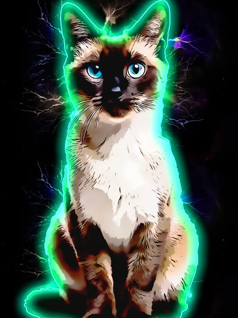 1001 aura neon art siam poster da aank1001