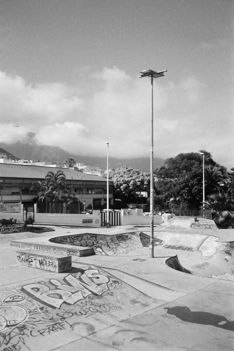 Tropical Skatepark poster da Mane