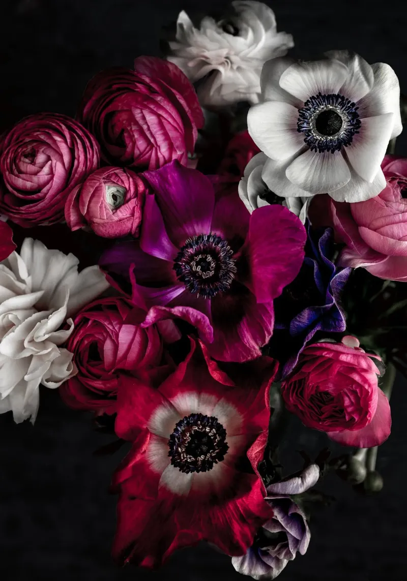 Dark Flowers 1 carta hahnemühle da Mareike Böhmer Photography