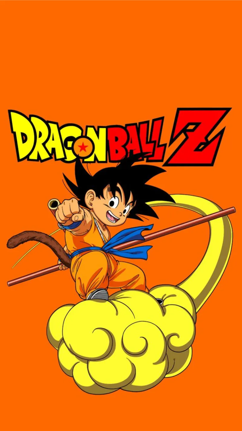 Maglietta Dragon Ball Z Goku Essential Ragazzi tela con Cornice a cassetta da jamsa_ve