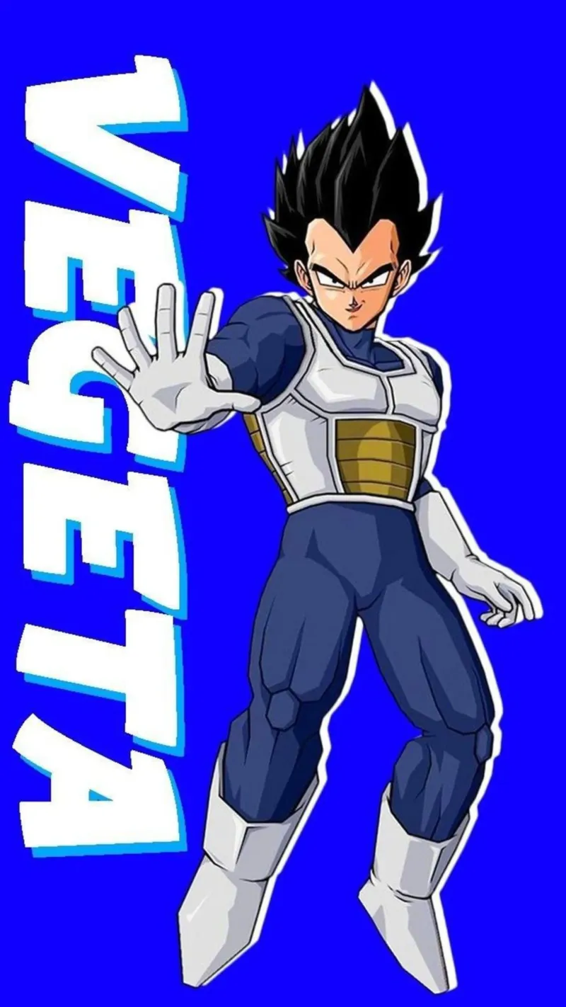 Vegeta è un principe - Dragon Ball Z tela con Cornice a cassetta da sophielouise.designs