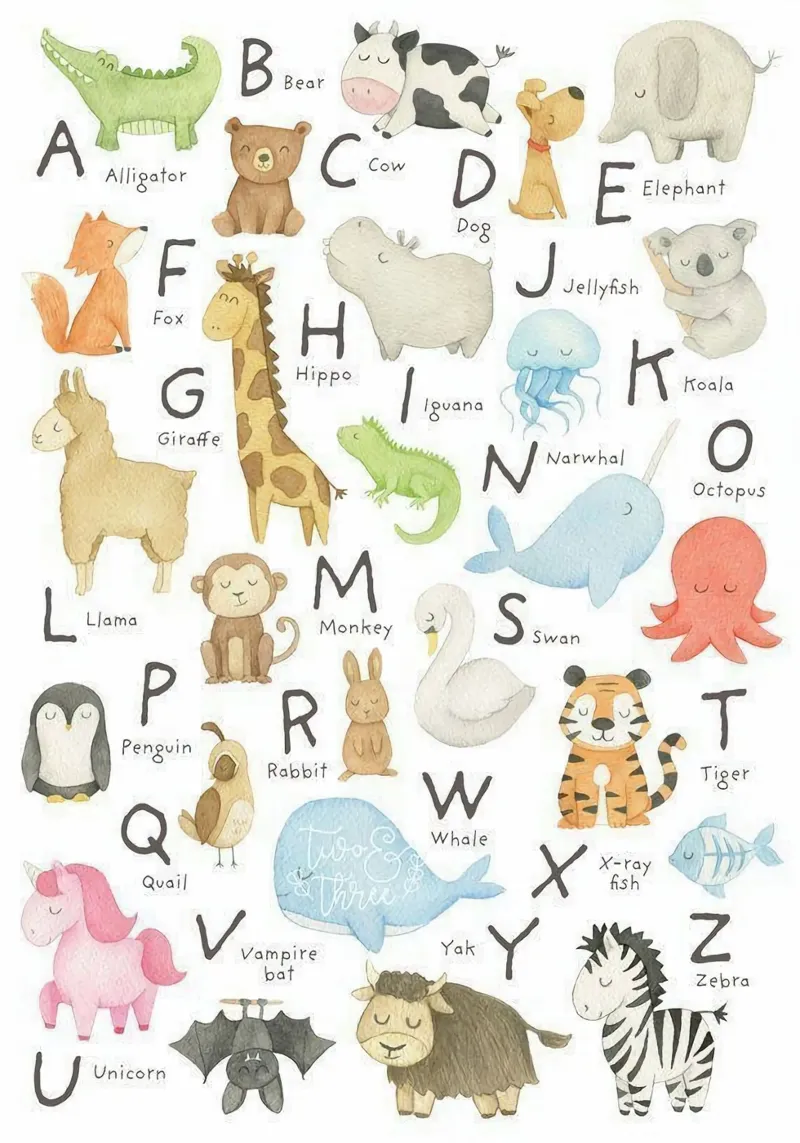 alphabet simple animal lienzo con Marco flotante de willife