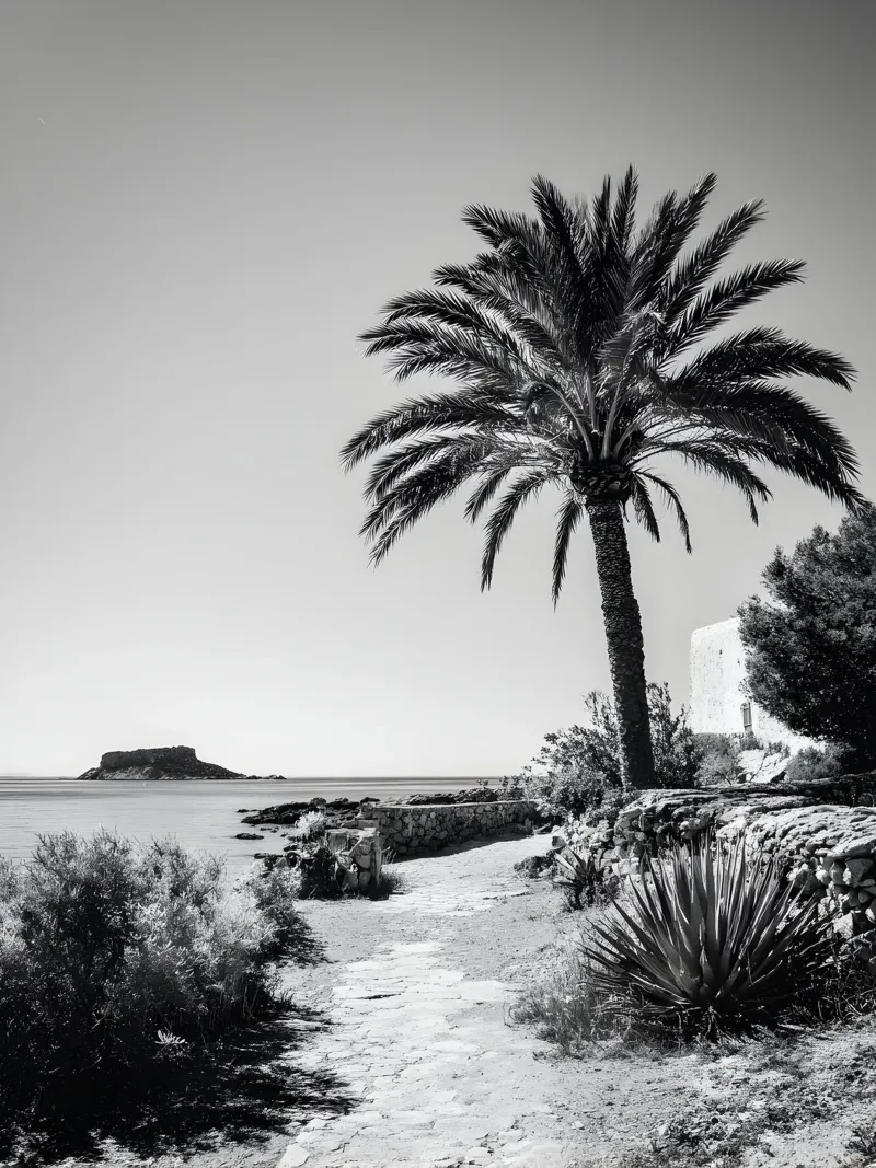 Ibiza Horizon tela con Cornice a cassetta da Mononoir