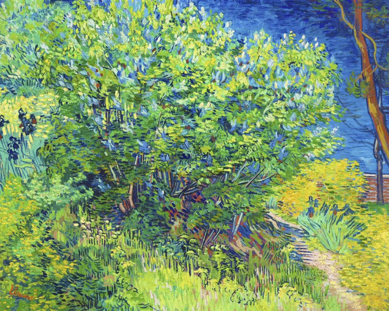 Cespuglio di lillà (1889) - Vincent van Gogh poster da Venus Art
