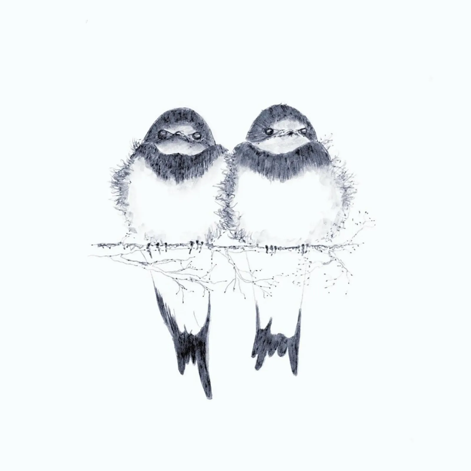 Birds poster with plastic frame by youdesignme