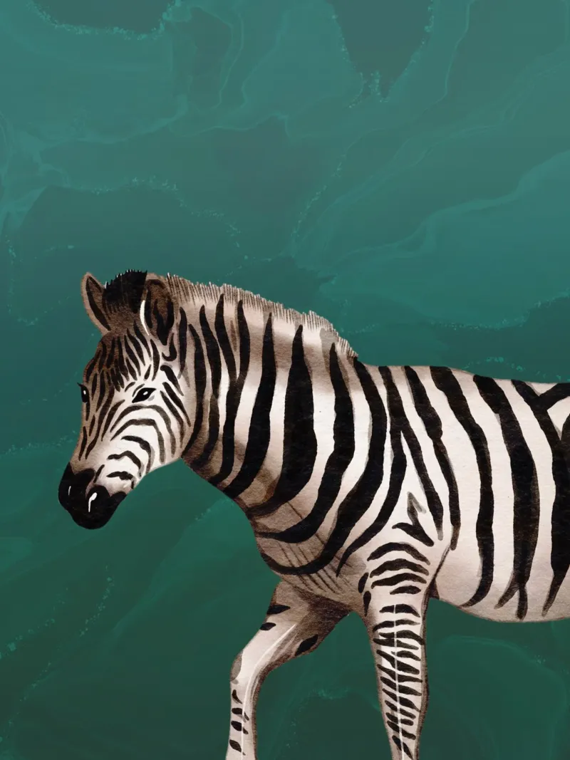 Smaragdgrüne Wandkunst, Zebra-Druck, Tier-Wandkunst Leinwand mit Schattenfugenrahmen von Boheme