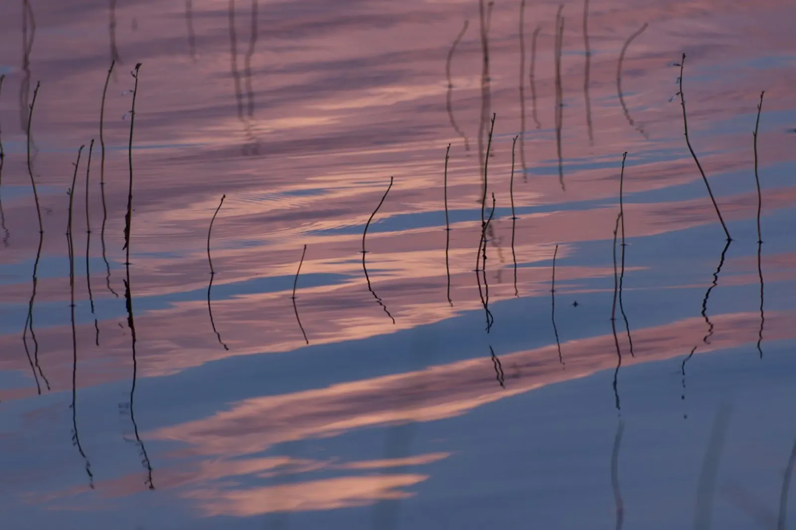 Clouds reflections poster con telaio in legno da Carol Maia