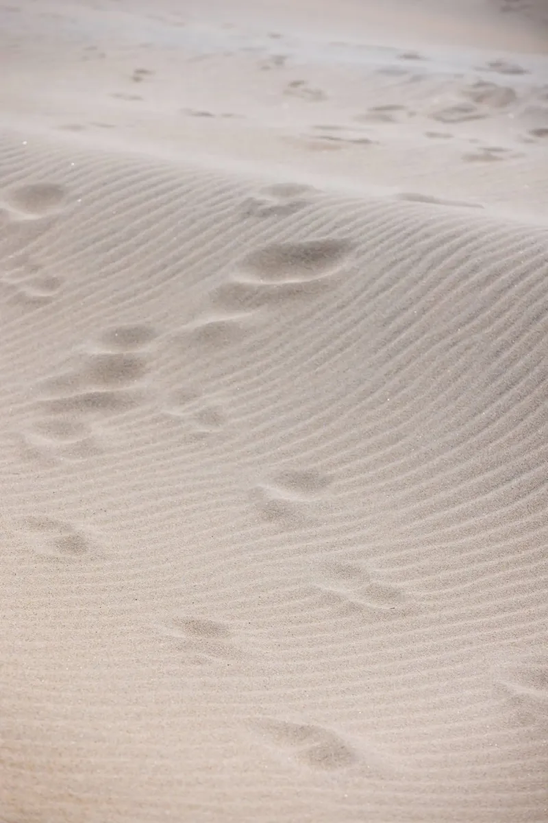 Traces in the Sand carta hahnemühle da Mareike Böhmer Photography