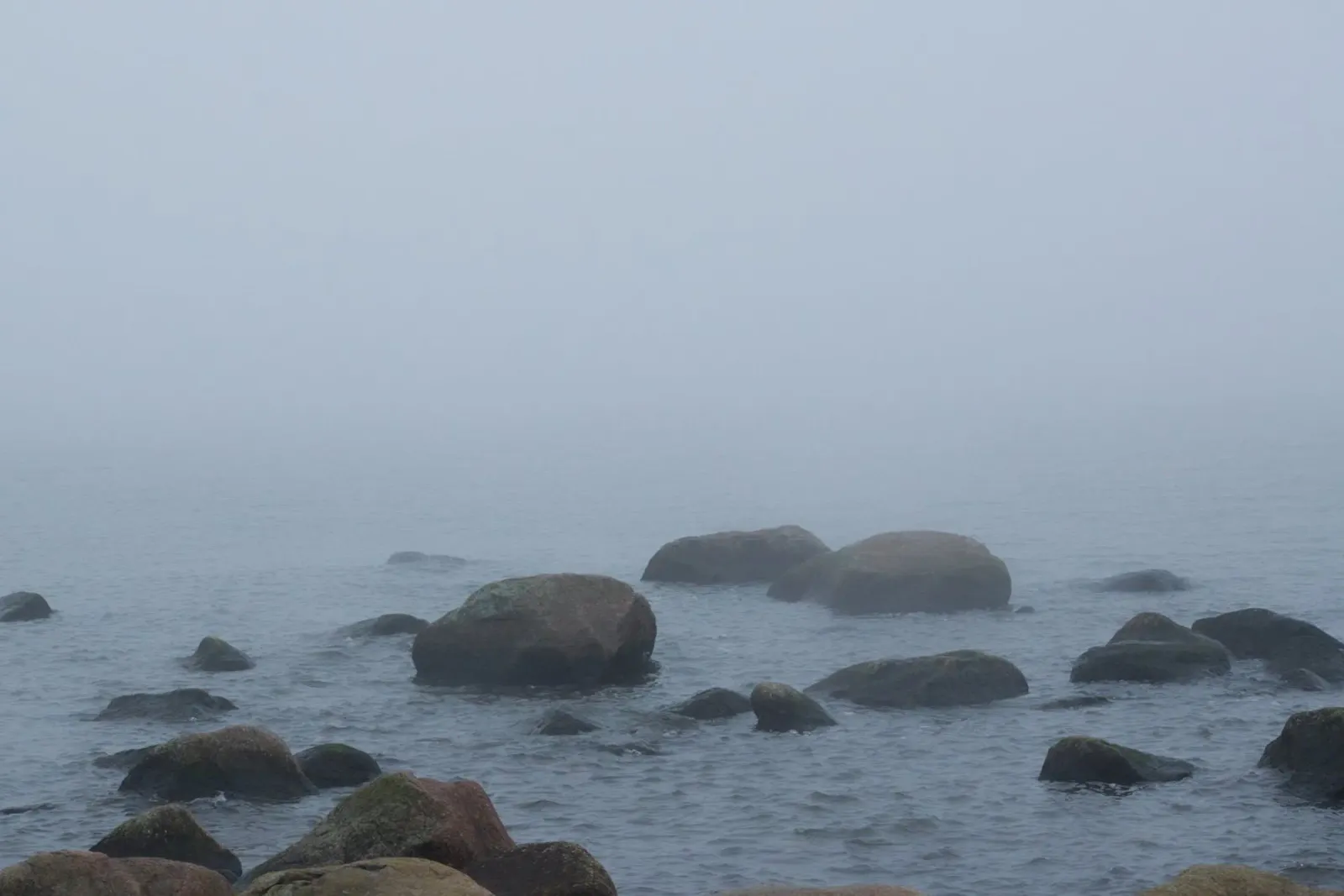 Foggy sea poster da Carol Maia