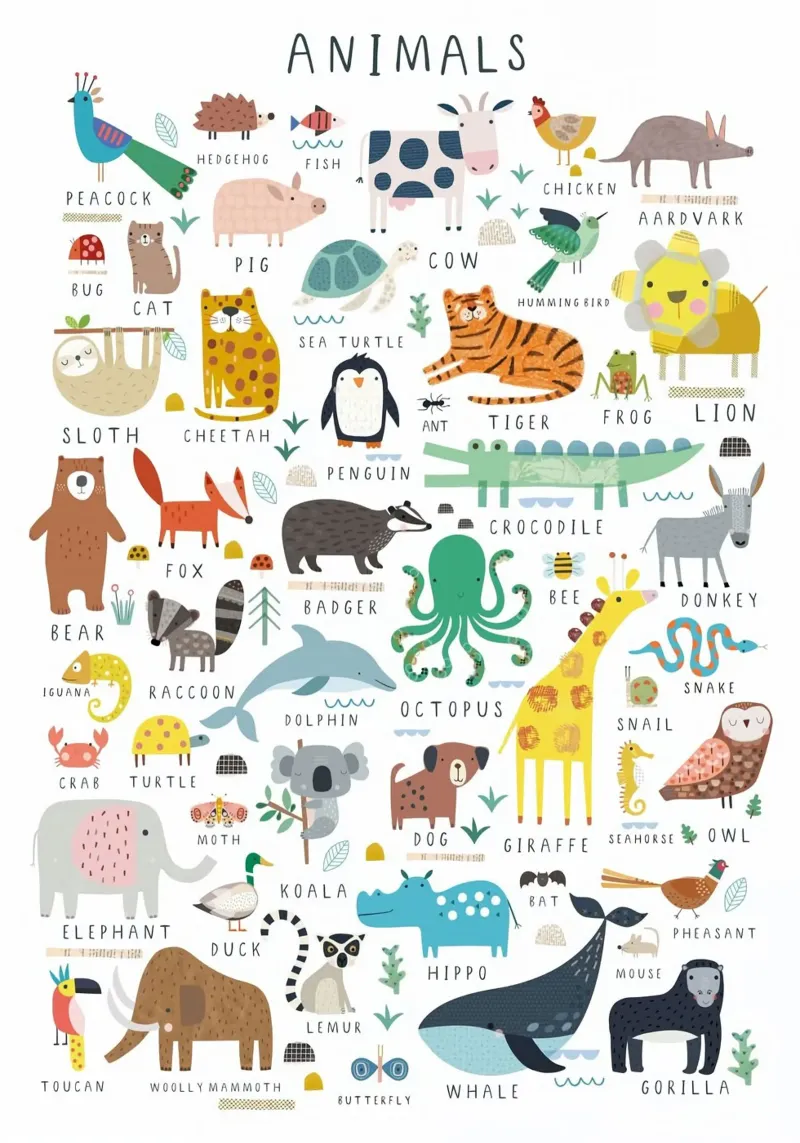 animal name of alphabet canvas with Floater frame by willife