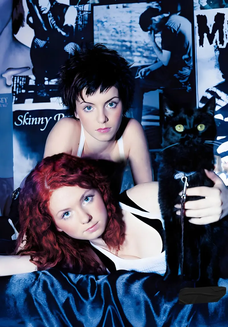 t.A.T.u Leinwand mit Schattenfugenrahmen von Low poly art