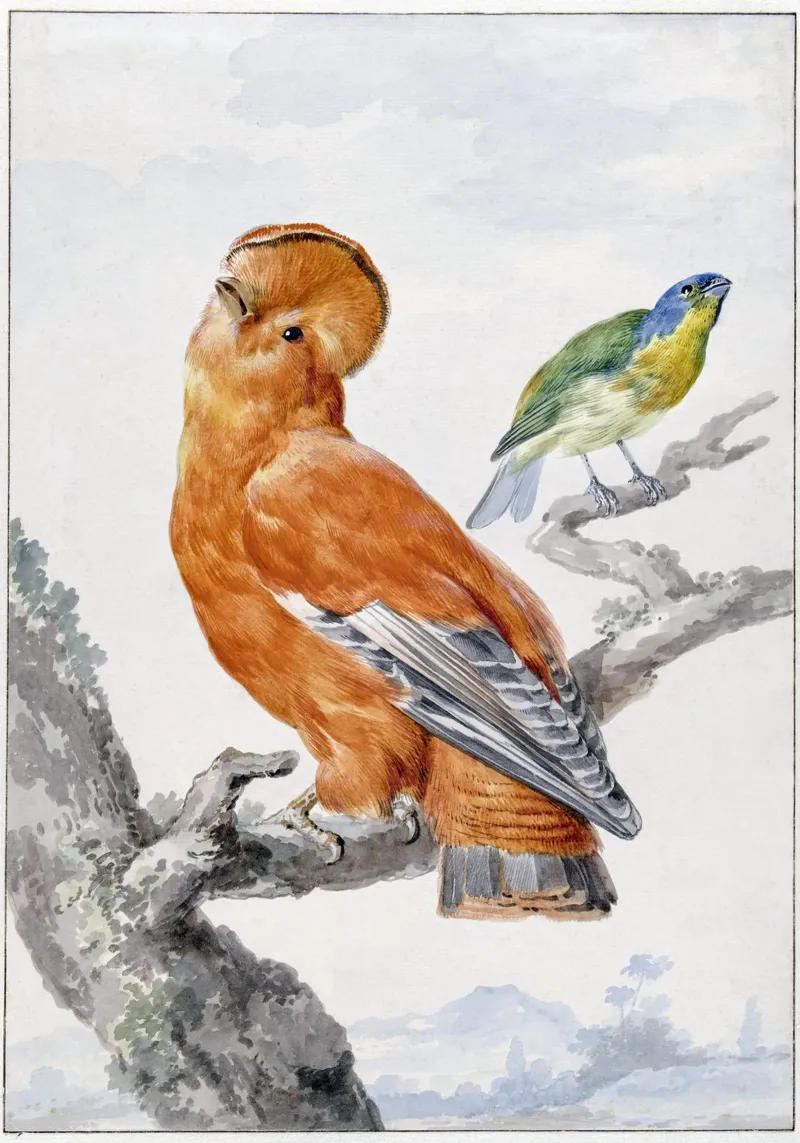 Two Exotic Birds canvas met Baklijst van vintageshop