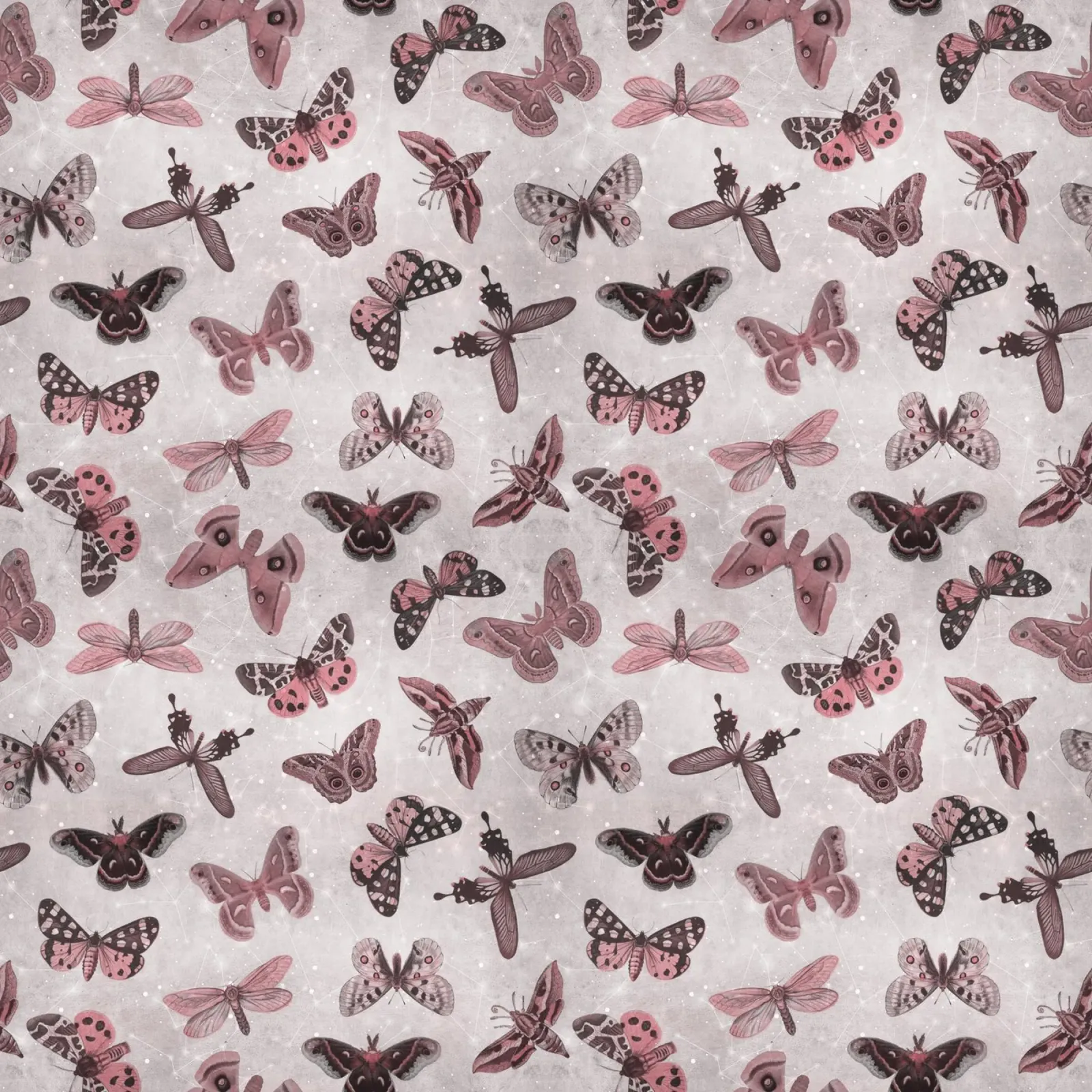 Moths & Butterflies poster con telaio in plastica da Vivi Nicolin