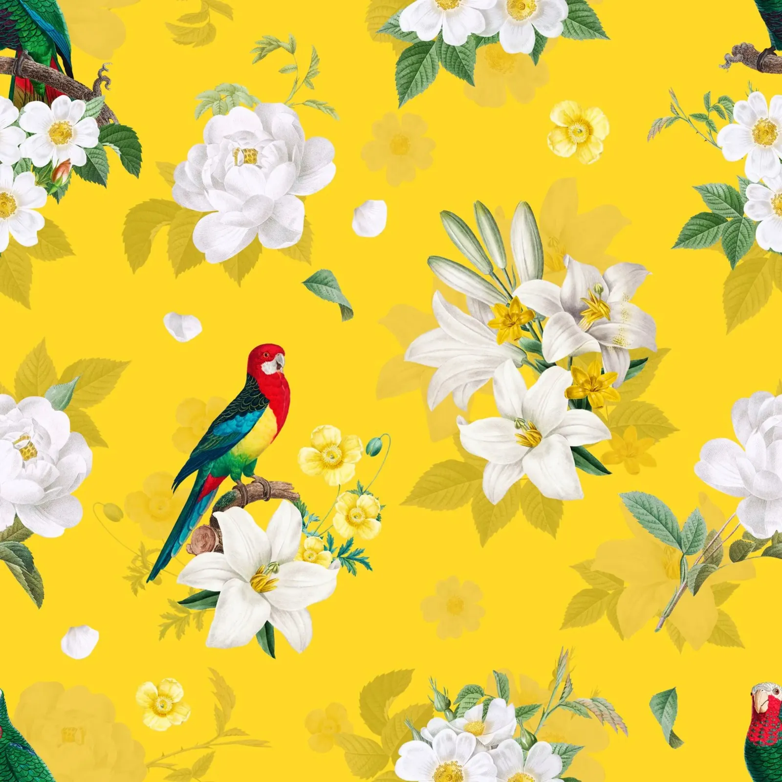 Bloementuin Papegaai Geel canvas met Baklijst van FabiWes