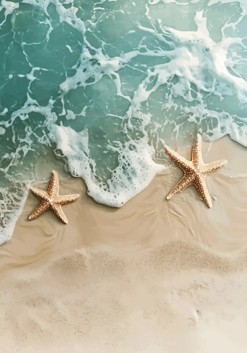 Two starfish on the seashore canvas with Floater frame by pixelbull - medieval art and more