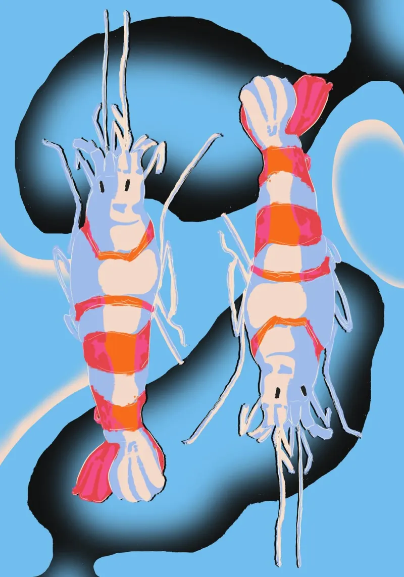Twin Shrimp poster da illustfire